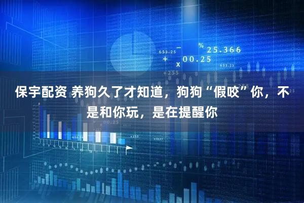 保宇配资 养狗久了才知道，狗狗“假咬”你，不是和你玩，是在提醒你