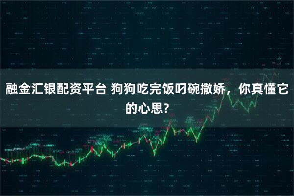 融金汇银配资平台 狗狗吃完饭叼碗撒娇，你真懂它的心思?