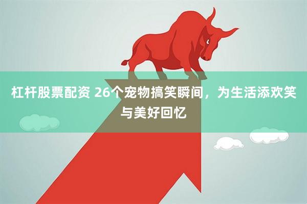 杠杆股票配资 26个宠物搞笑瞬间，为生活添欢笑与美好回忆