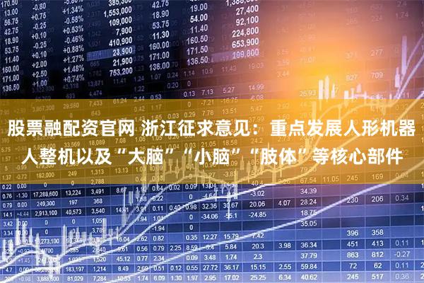 股票融配资官网 浙江征求意见：重点发展人形机器人整机以及“大脑”“小脑”“肢体”等核心部件
