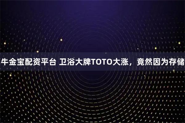 牛金宝配资平台 卫浴大牌TOTO大涨，竟然因为存储