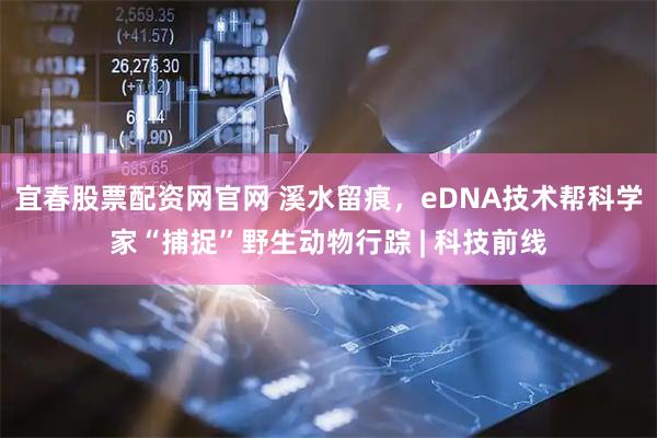 宜春股票配资网官网 溪水留痕，eDNA技术帮科学家“捕捉”野生动物行踪 | 科技前线